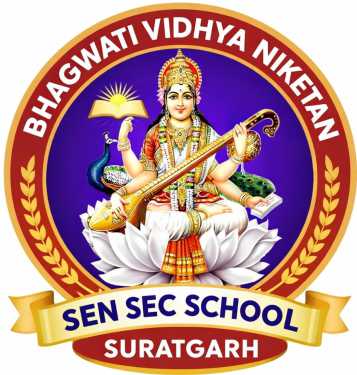 BHAGWATI VIDHYA NIKETAN SEN SEC SCHOOL